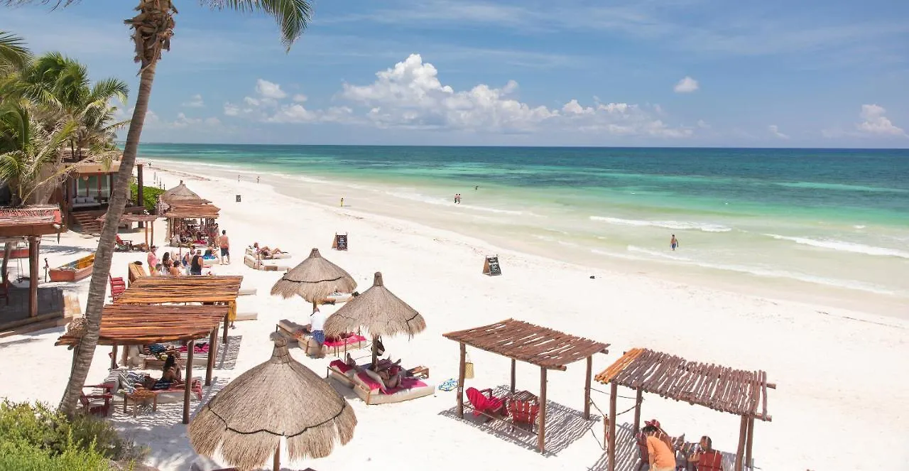 La Zebra Tulum, A Small Luxury Hotel  טולום